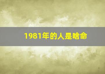 1981年的人是啥命