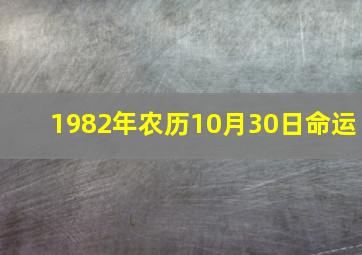 1982年农历10月30日命运