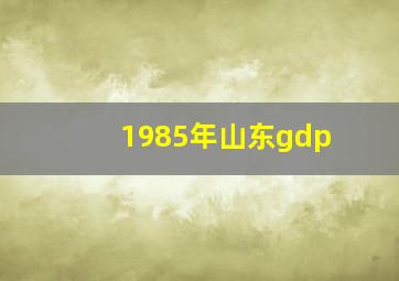 1985年山东gdp