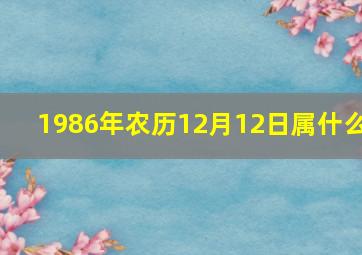 1986年农历12月12日属什么