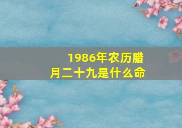 1986年农历腊月二十九是什么命