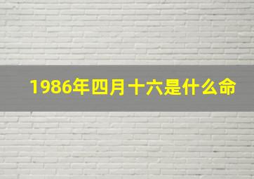 1986年四月十六是什么命