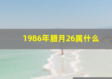 1986年腊月26属什么