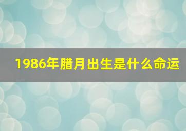 1986年腊月出生是什么命运