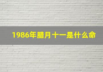 1986年腊月十一是什么命