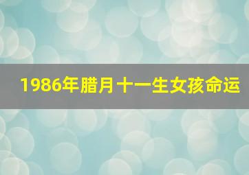 1986年腊月十一生女孩命运