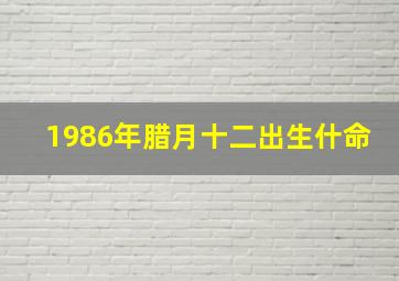 1986年腊月十二出生什命