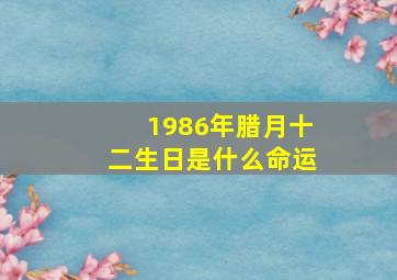 1986年腊月十二生日是什么命运