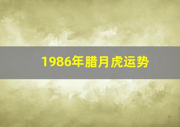 1986年腊月虎运势