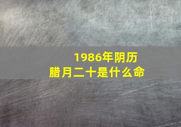 1986年阴历腊月二十是什么命