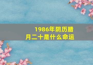 1986年阴历腊月二十是什么命运