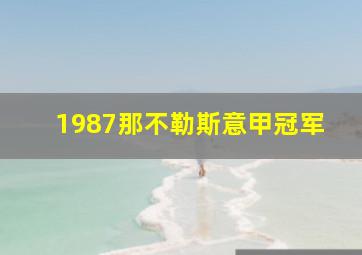 1987那不勒斯意甲冠军