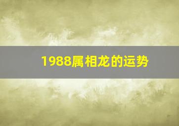 1988属相龙的运势