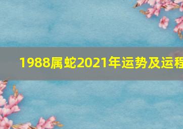 1988属蛇2021年运势及运程