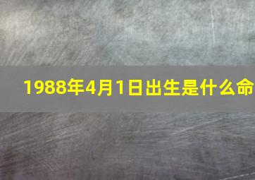 1988年4月1日出生是什么命