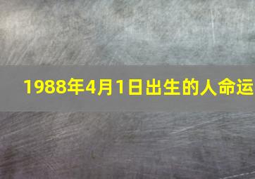 1988年4月1日出生的人命运