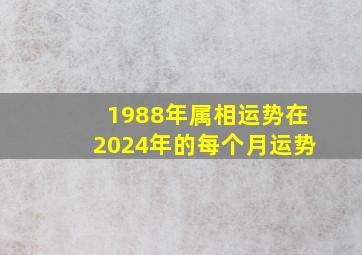 1988年属相运势在2024年的每个月运势