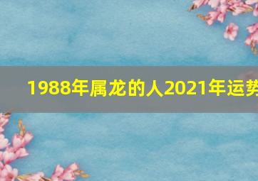 1988年属龙的人2021年运势