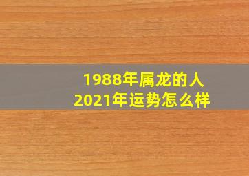 1988年属龙的人2021年运势怎么样