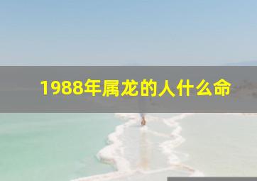 1988年属龙的人什么命