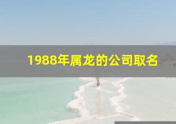 1988年属龙的公司取名