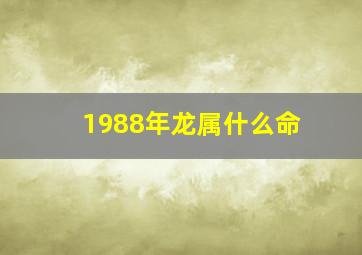 1988年龙属什么命