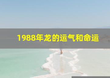 1988年龙的运气和命运