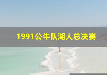 1991公牛队湖人总决赛