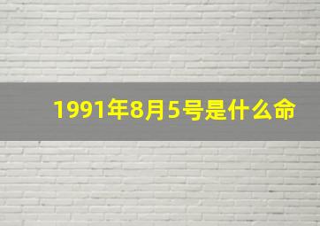 1991年8月5号是什么命