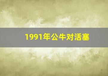 1991年公牛对活塞