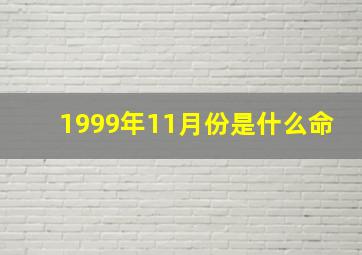 1999年11月份是什么命