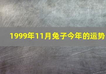 1999年11月兔子今年的运势