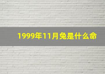 1999年11月兔是什么命