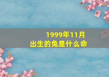 1999年11月出生的兔是什么命