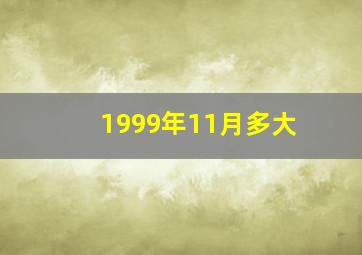 1999年11月多大