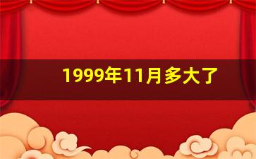 1999年11月多大了