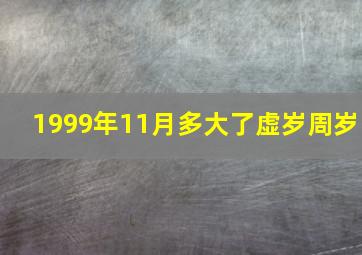 1999年11月多大了虚岁周岁