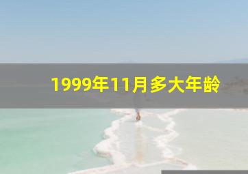 1999年11月多大年龄