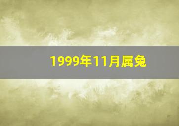 1999年11月属兔