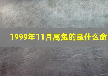 1999年11月属兔的是什么命