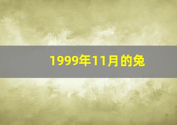 1999年11月的兔