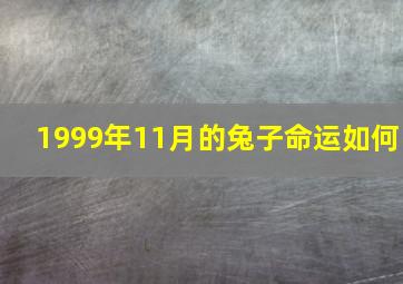 1999年11月的兔子命运如何