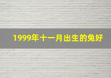 1999年十一月出生的兔好