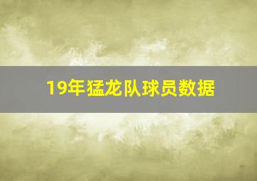 19年猛龙队球员数据