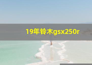 19年铃木gsx250r