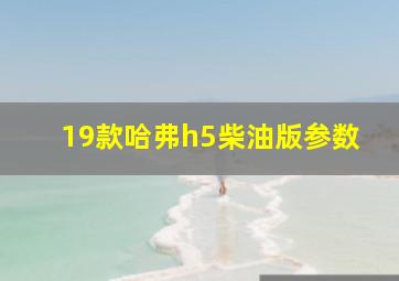 19款哈弗h5柴油版参数