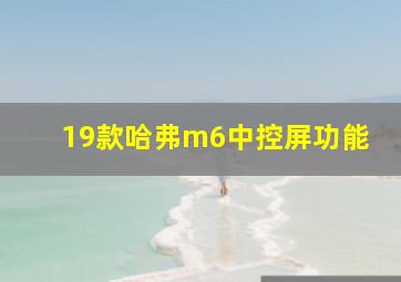 19款哈弗m6中控屏功能