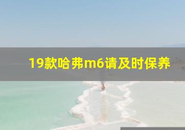 19款哈弗m6请及时保养