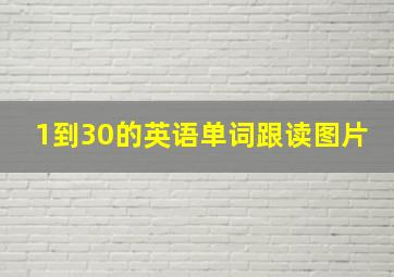 1到30的英语单词跟读图片