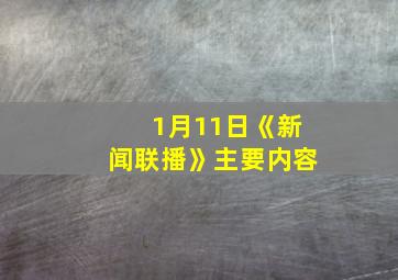 1月11日《新闻联播》主要内容